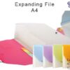 CBE Expanding File A4 - 13 pockets | F4306